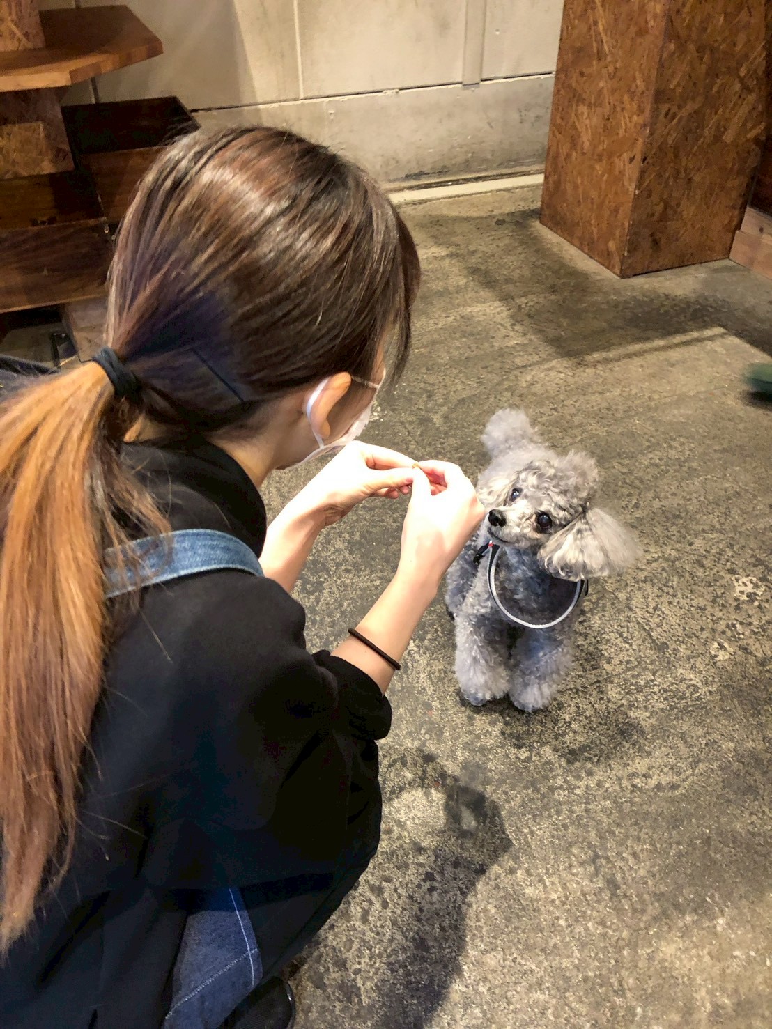 個別プログラム